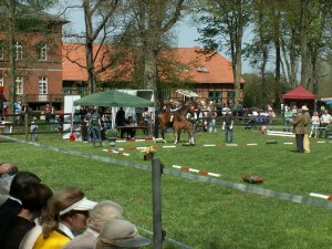 26. Fohlenschau - Klosterhof Medingen - 01. Mai 2012