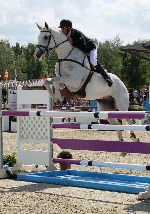 Andrew Nicholson mit seinem Pferd Mr. Cruise Control beim CCI4* Luhmühlen 2013 Andrew Nicholson mit seinem Pferd Mr. Cruise Control beim CCI4* Luhmühlen 2013