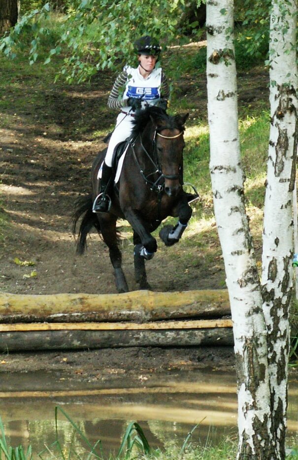 Internationale Vielseitigkeit in Mechtersen 2012, Attila Rajnai auf Eliot 109