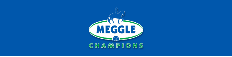 Banner Meggle Champions